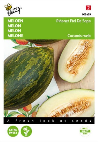 Meloen Piel de Sapo (Cucumis melo) 30 zaden